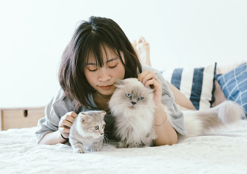 Read our Blog articles on cat-related topics and tips