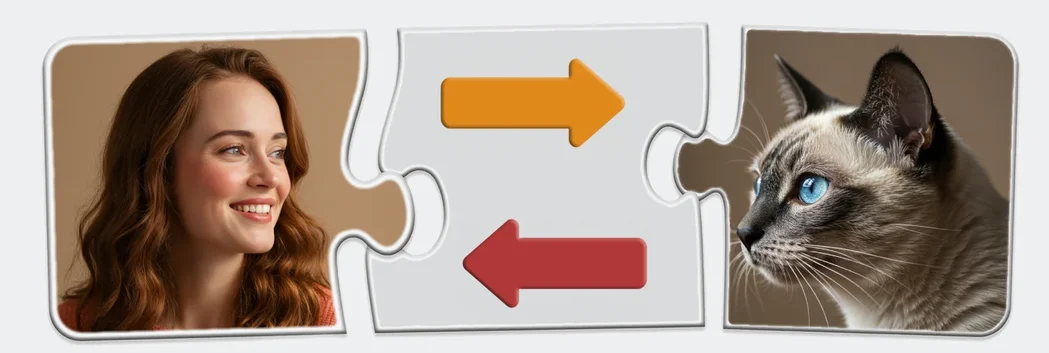 Matching a cat seeker with their ideal cat